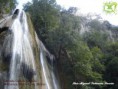 /album/fotogaleria/cola-de-caballo-monterrey-jpg/